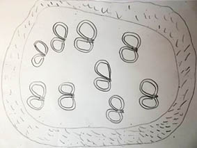 Robinswood Drawings
