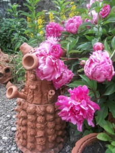 Nice blooms and terracotta dalek at Eastnor Pottery