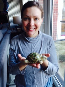a fine pottery tortoise made at Eastnor Pottery