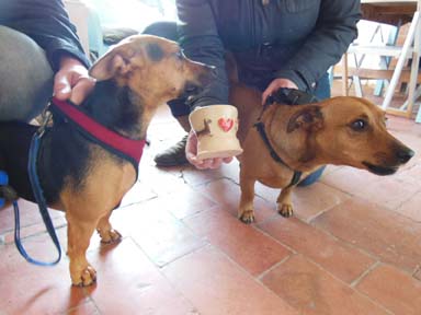 Pet dogs inspire a potter's wheel creation