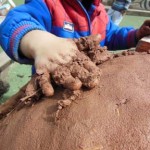 Clay oven built at washwood Heath Nursery School in Birmingham