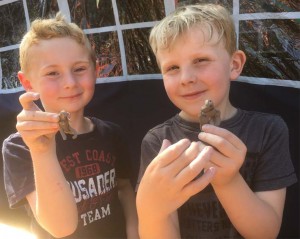 Eastnor Pottery at Severn Sounds Festival making clay pinch pots