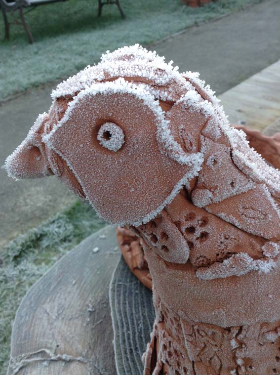 Head of a terracotta pheasant covered in frost