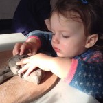 twin18 month old enjoys exploring clay at Eastnor Pottery